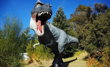 В Аргентине НЛО прилетал к динозаврам