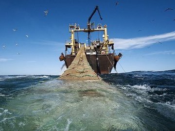 Глобальный сайт для отслеживания рыболовецких судов со всего мира