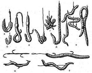 Как правильно насаживать червя на крючок?