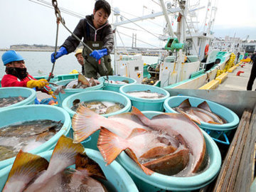 Китай ввел пошлины на основные виды рыбы и морепродуктов из США