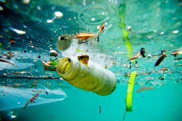 Ученые обнаружили пластик в море Лаптевых